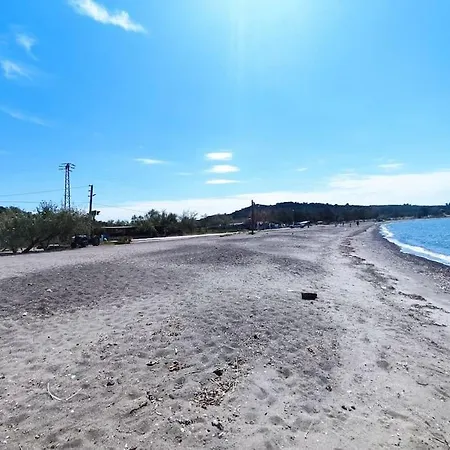 Bademli Muestakil Yazcenneti Sitesi *