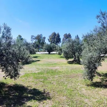 Bademli Muestakil Yazcenneti Sitesi بيت للعطل *